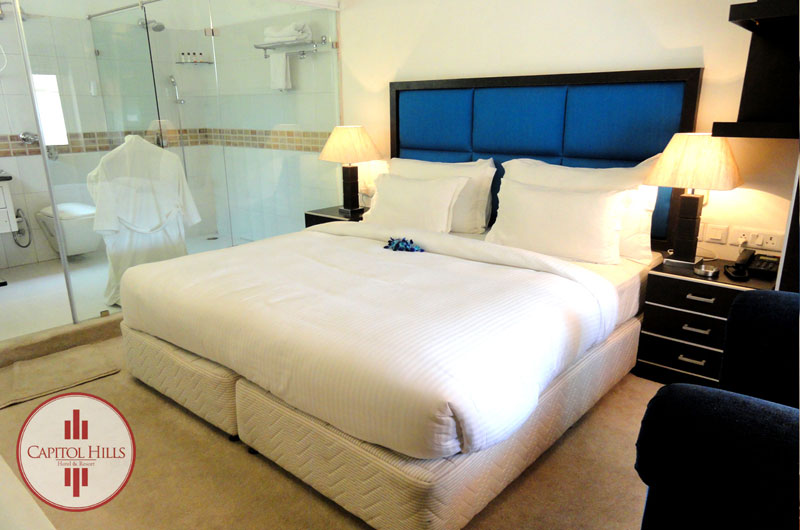Hotel Capitol Hills - Suite Room